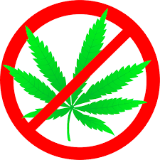 saskatchewan landlords no weed marijuana cannabis